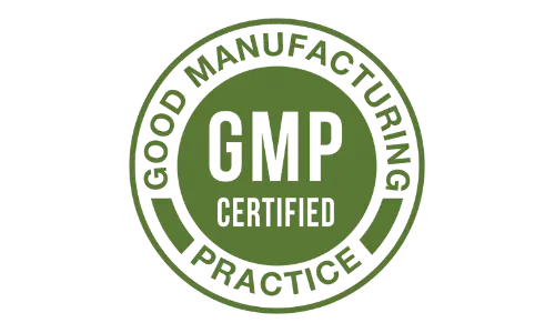 Brain Memory Keeper - GMP